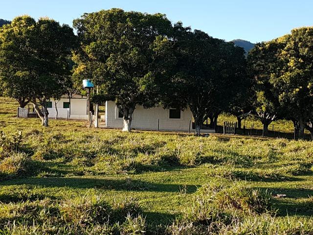 Fazenda - 981 Hectares - Cuiabá/MT - Foto 20