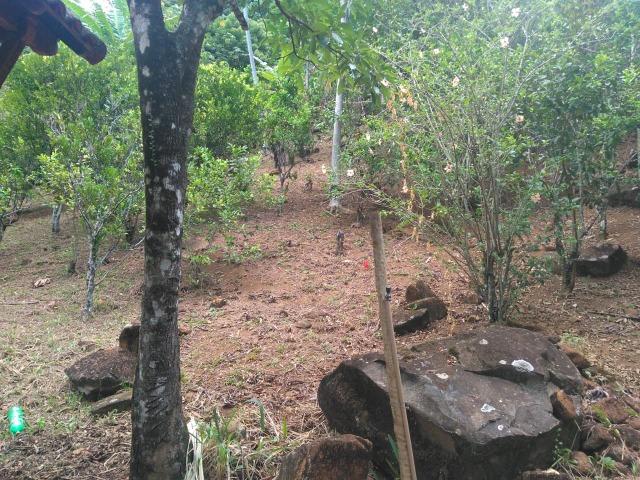 Sítio 40.000m2 em Casimiro de Abreu - Foto 20