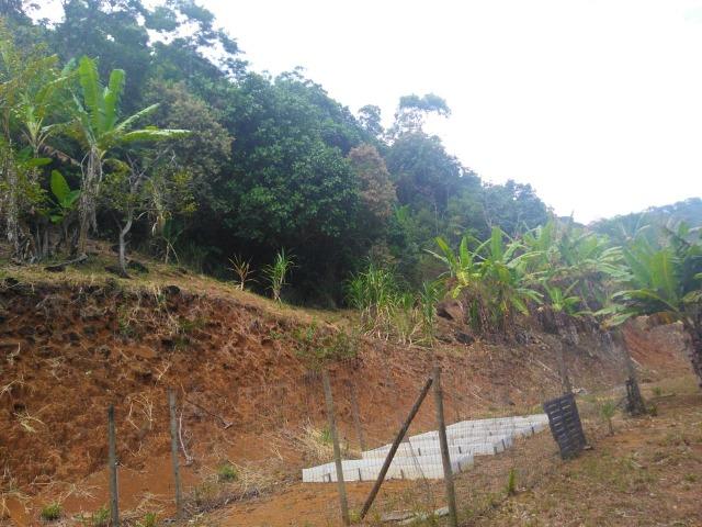 Sítio 40.000m2 em Casimiro de Abreu - Foto 11