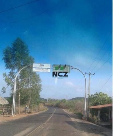 Fazenda à venda, 1450200000 m² por R$ 146.000.000 - Parque Independência - Chapadinha/MA - Foto 12