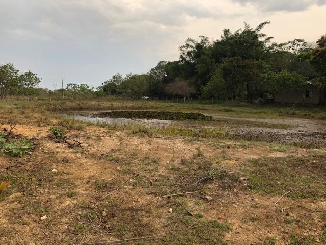 Chácara - Foto 6