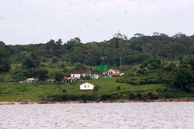 Fazenda rural à venda, são francisco, ilhéus. - Foto 11