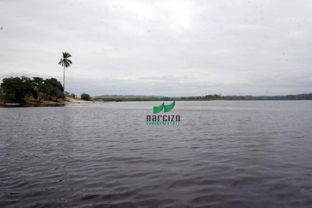 Fazenda rural à venda, são francisco, ilhéus. - Foto 6