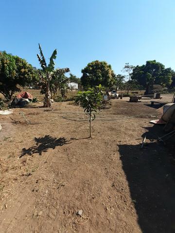 Vendo chacara em jangada - Foto 4