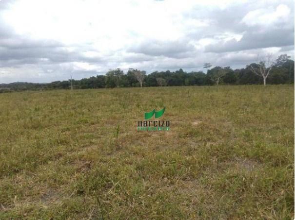Linda fazenda à venda, 8000000 m² por r$ 6.300.000 - inocoop - itamaraju/ba - Foto 8