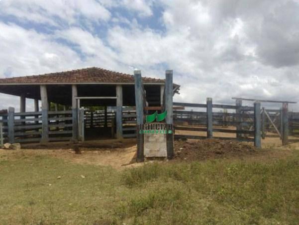 Linda fazenda à venda, 8000000 m² por r$ 6.300.000 - inocoop - itamaraju/ba - Foto 19