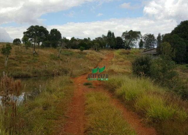 Fazenda à venda, 1113200 m² por r$ 3.800.000 - linha mangabeira - santa maria do oeste/pr