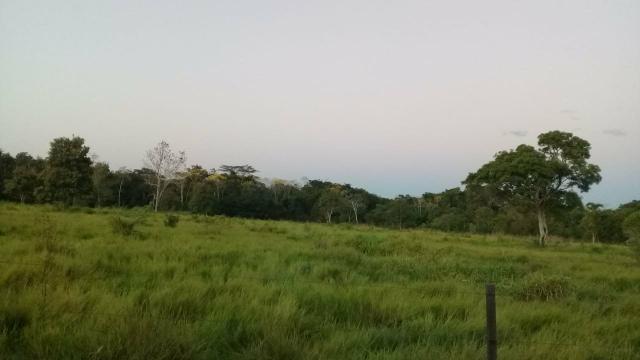 Fazenda 80 hectares próximo a Cuiabá - Foto 7