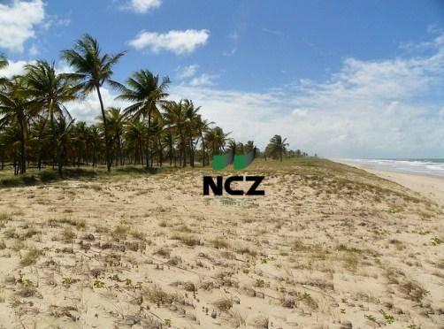 Fazenda à venda, 380000 m² por r$ 3.040.000 - litoral norte - jandaíra/ba - Foto 19