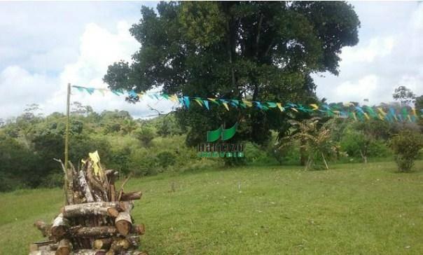 Fazenda à venda, 4190000 m² por r$ 5.600.000 - cidade nova - ilhéus/ba - Foto 13