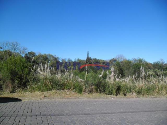 Terreno em caxias do sul