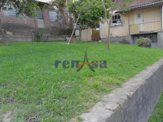 Terreno em caxias do sul - Foto 2