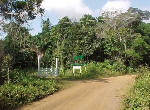 Fazenda na mata atlântica!!!