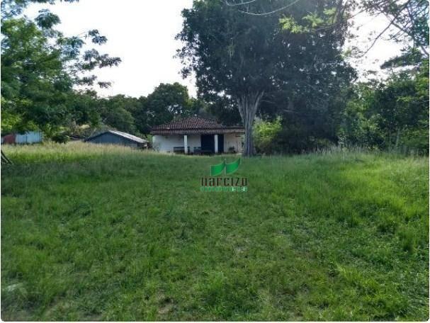 Fazenda à venda, 4190000 m² por r$ 5.600.000 - cidade nova - ilhéus/ba - Foto 6