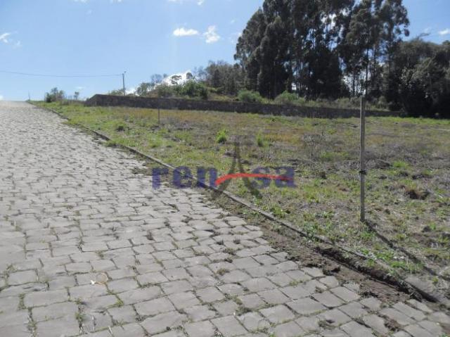 Terreno em caxias do sul - Foto 4