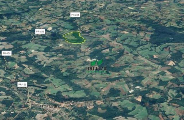 Fazenda à venda, 1113200 m² por r$ 3.800.000 - linha mangabeira - santa maria do oeste/pr - Foto 6