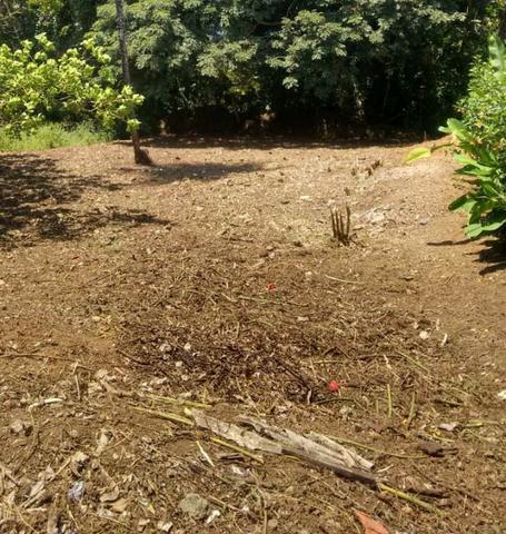 Terreno 450 m2 Condomínio Vale do Jacarandá - Foto 11