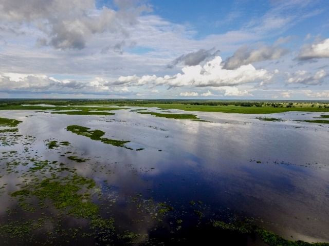 Fazenda com 140 hectares no Passarão, a 65 km de Boa vista/RR, ler descrição do anuncio - Foto 3