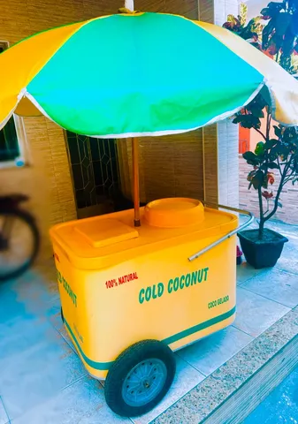 Coco amarelo  +223 anúncios na OLX Brasil