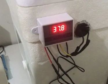 Termostato para Chocadeira estufa aquário termômetro - Foto 3