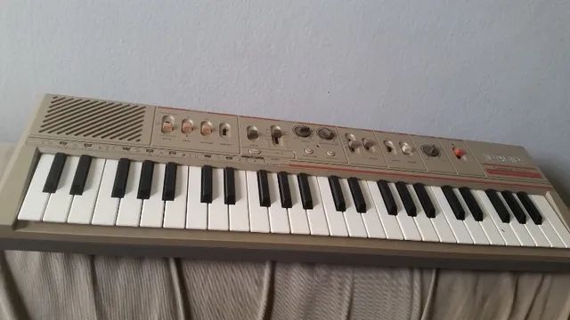 Casiotone hotsell mt 110