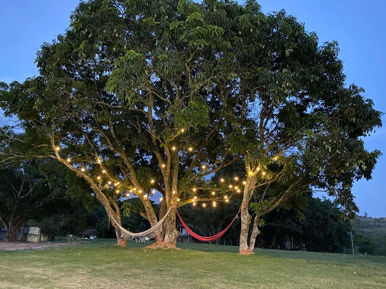Espaço para Festas e Eventos  - Foto 4