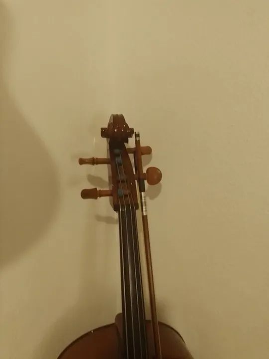 Violoncelo Eagle C 200 - Foto 2