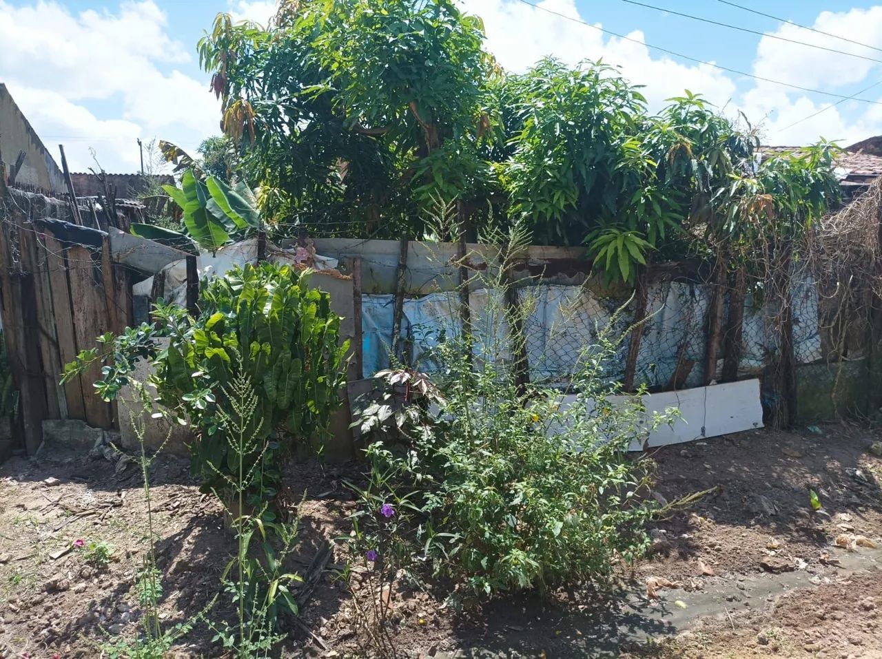 foto - Maceió - Cidade Universitária