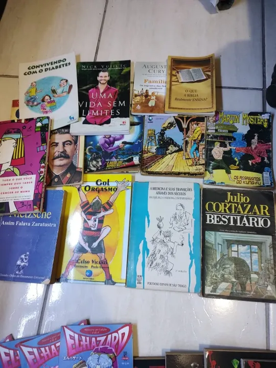 Lote de Livros Magníficos