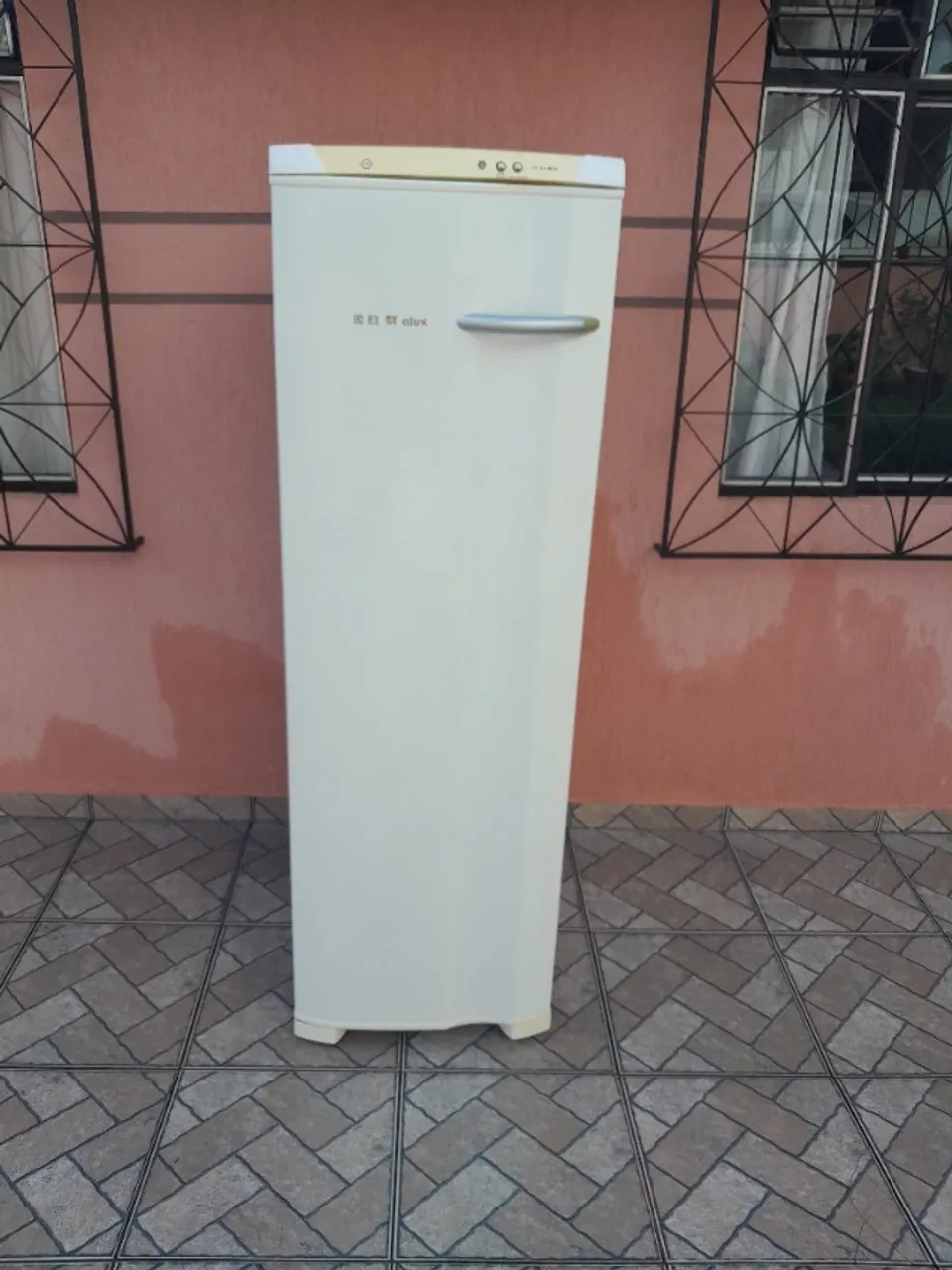 Freezer vertical eletrolux 220v