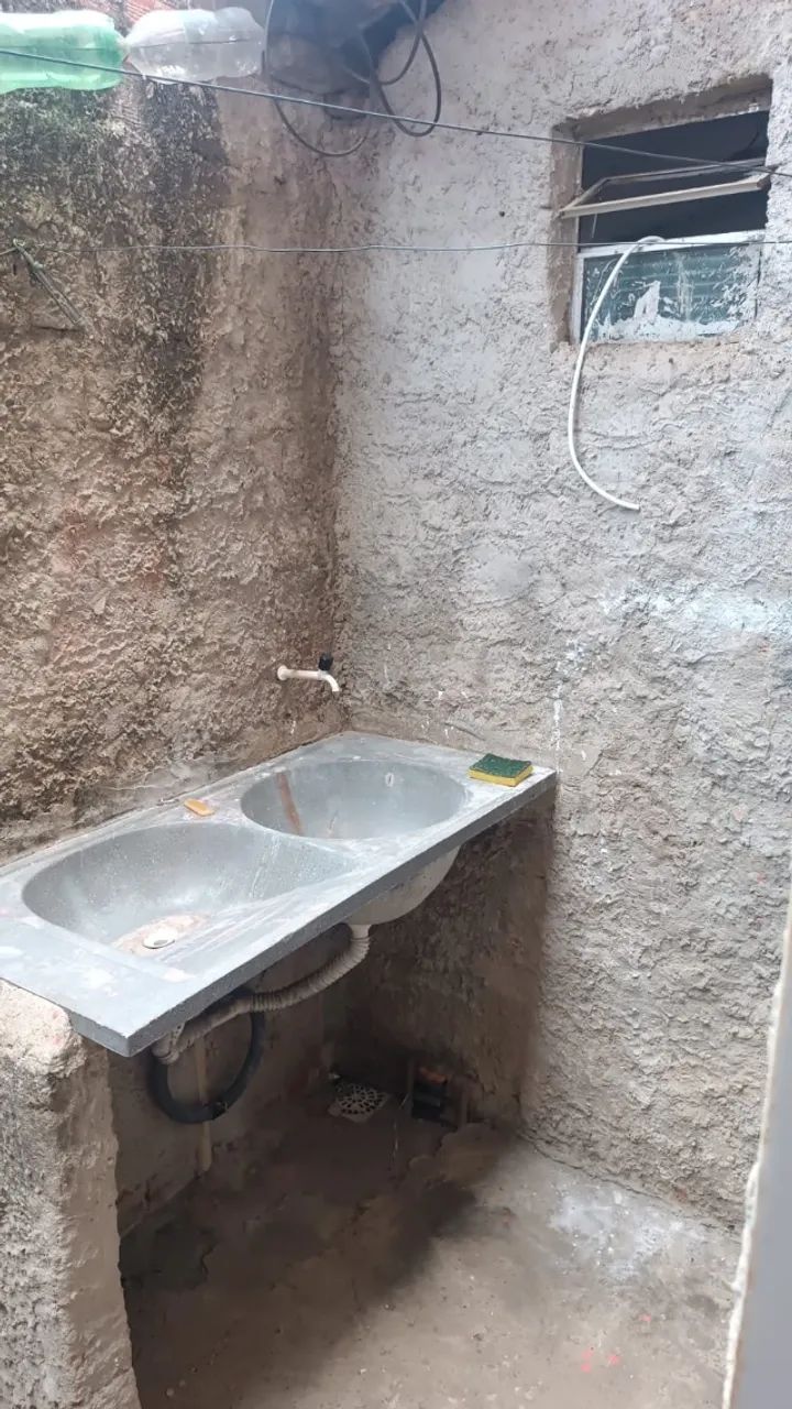 Foto - Teresina - Macaúba