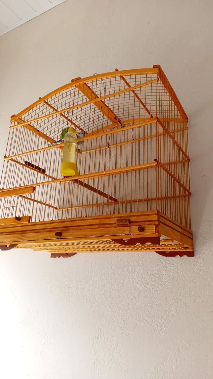 Vendo gaiola 64304559683073122