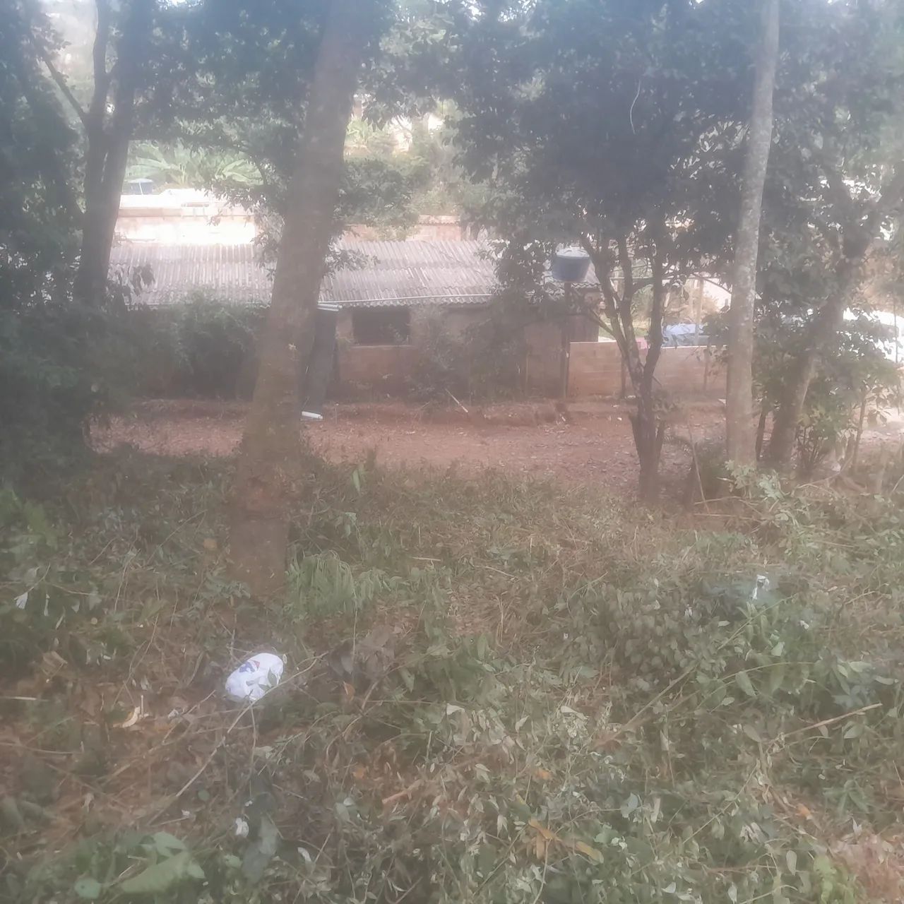 Lotes de 300 mts perto do asfalto 