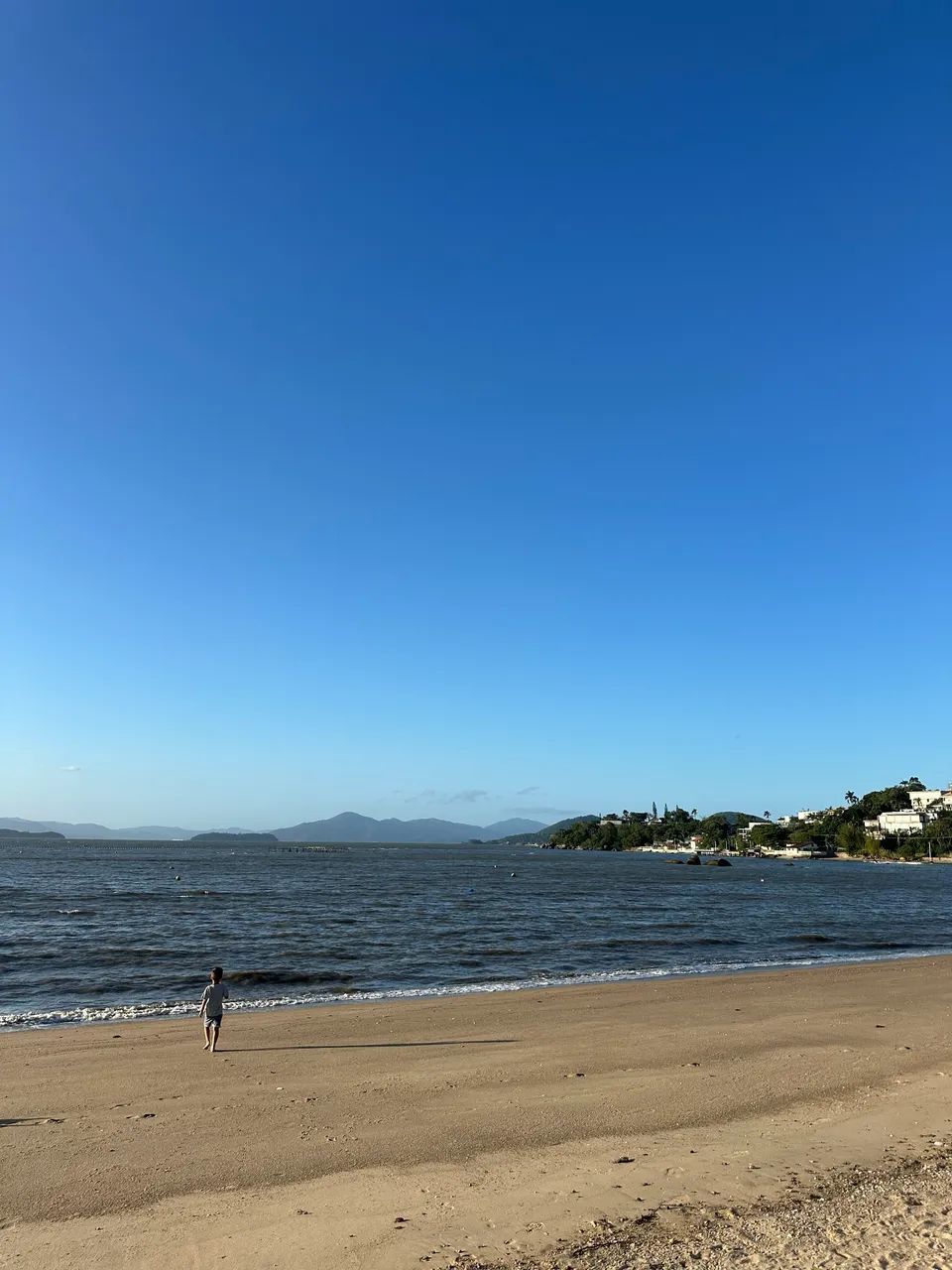 Empregada doméstica 