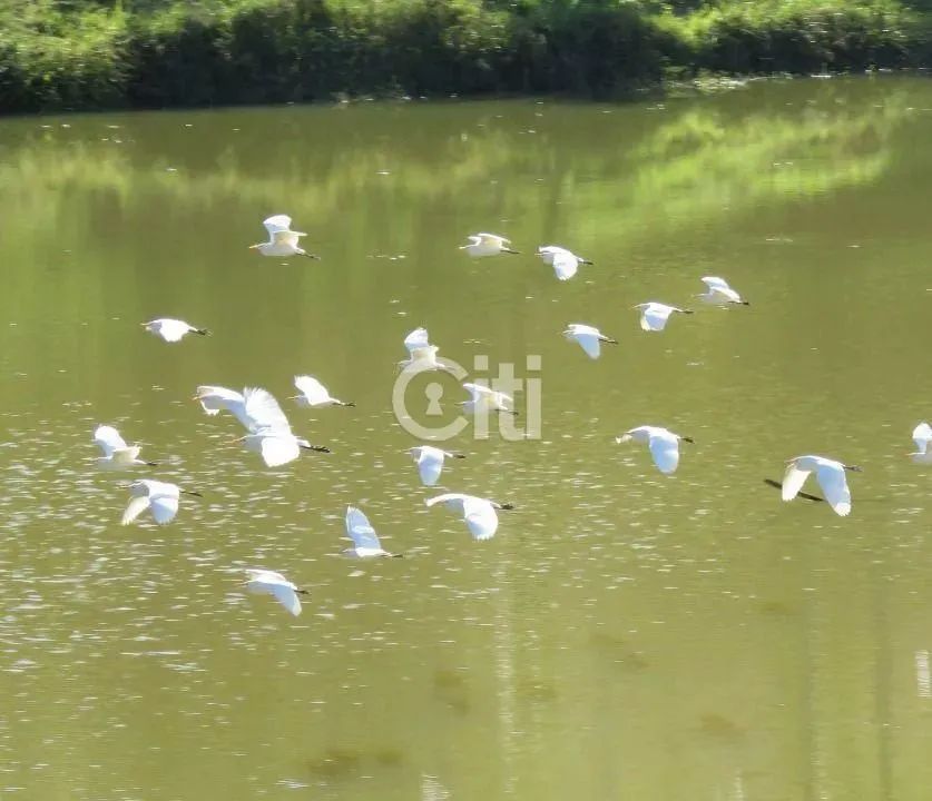 CONDOMÍNIO ECO VILLAGE - Foto 7