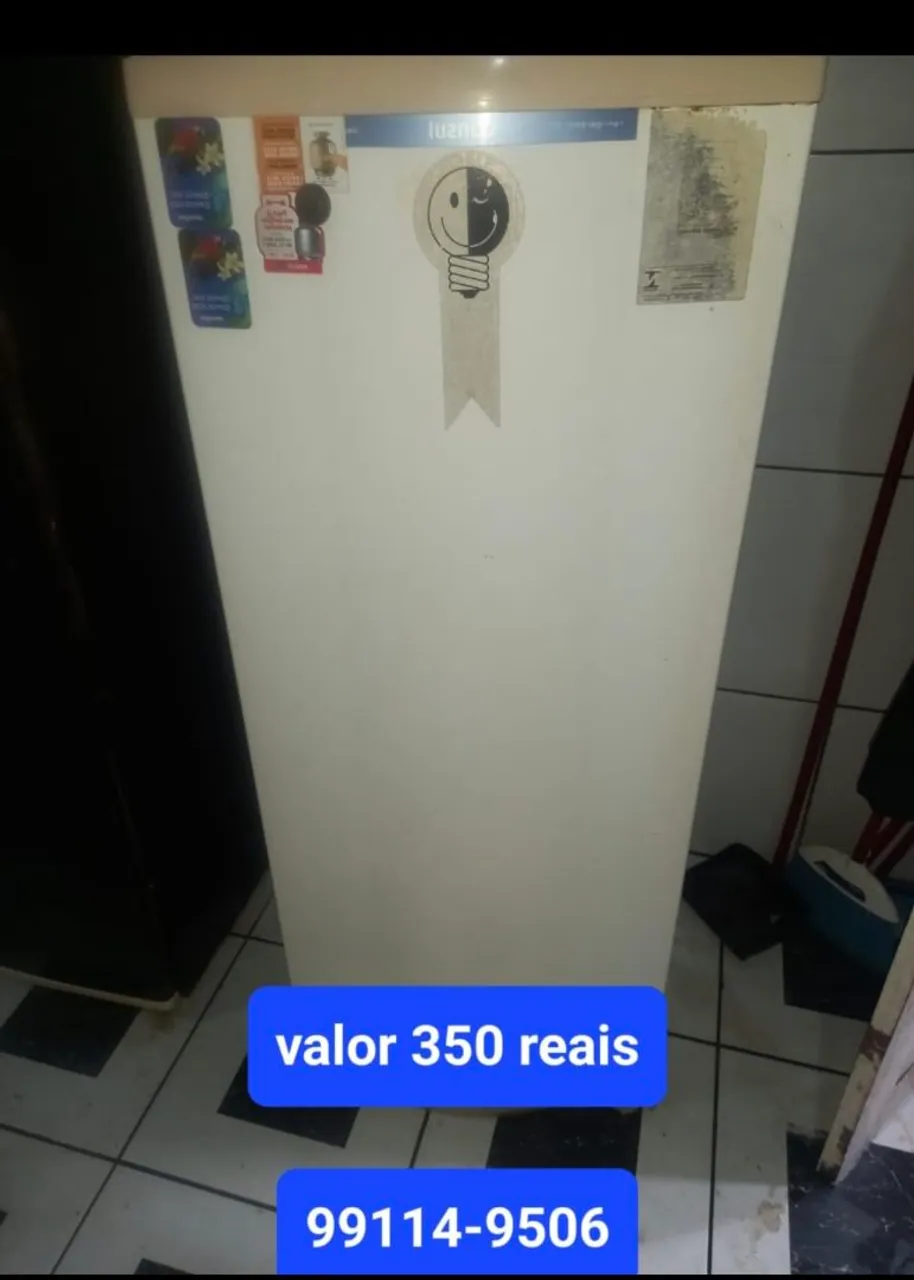 Freezer Vertical - R$350