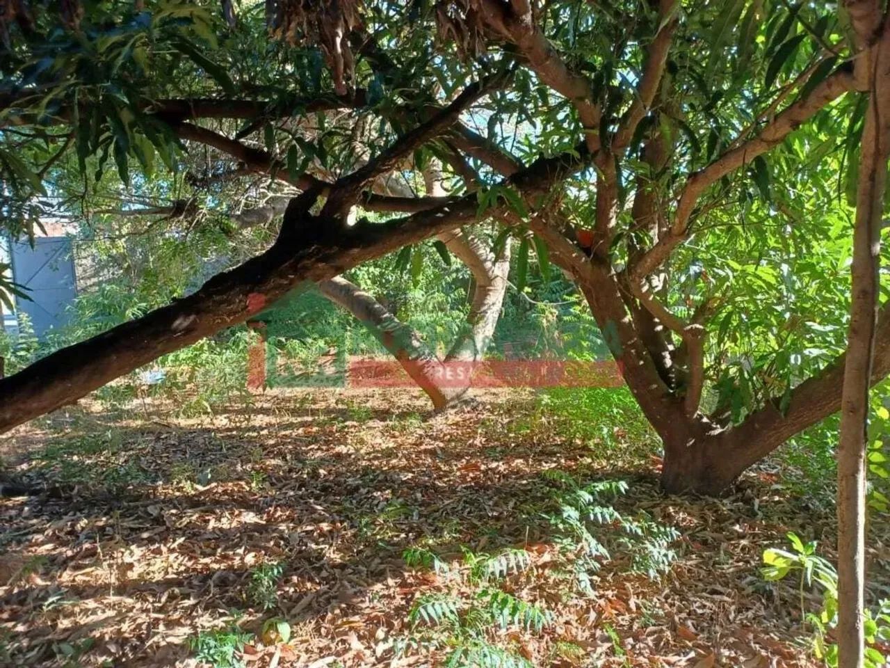 Terreno para alugar com 151,91 metros quadrados no SANTA ISABEL - Teresina - Piauí - Foto 2