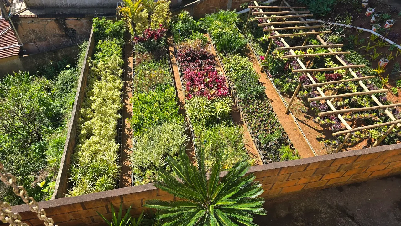 Jardim vertical com diversas plantas e mudas