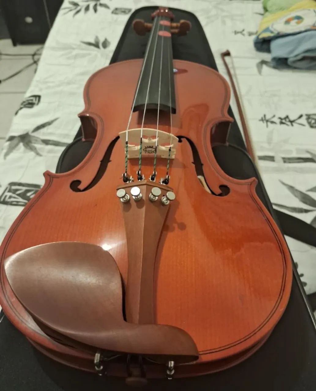 Violino 4/4 Hofma Eagle HVE241 ajustado por luthier (Novo) - Foto 4