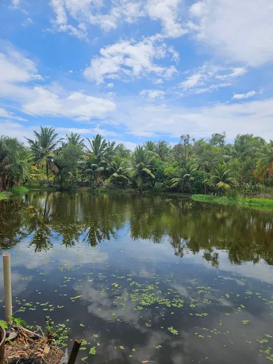 AREA com 5.700 m2,  com lagoa e natureza exuberante