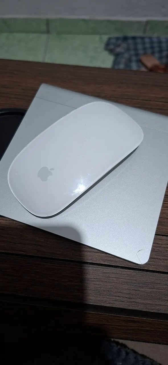 Mouse Apple Magic 264520769848451120