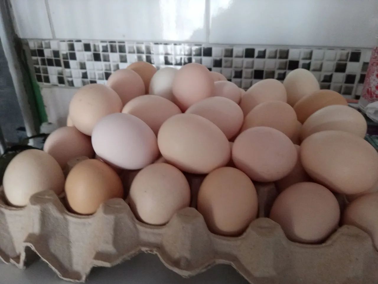 Ovos caipiras63824580062723120