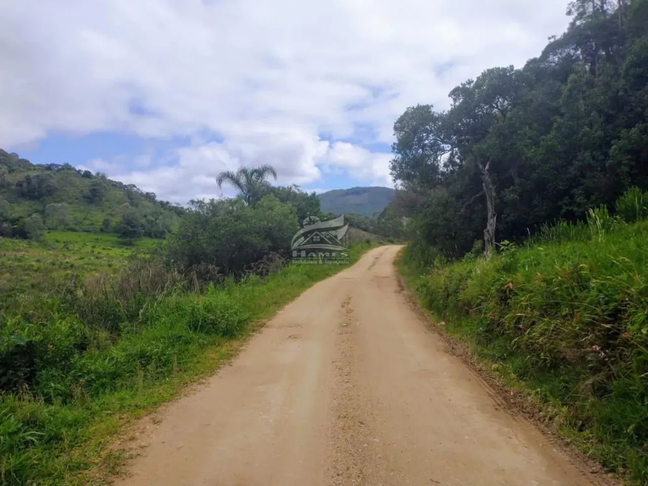Terreno Rural para Venda em Angelina, TERCEIRA LINHA - Foto 5