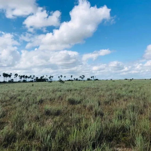 Fazenda em Boa Vista Roraima , Permuta por fazenda no PR . SP , MS