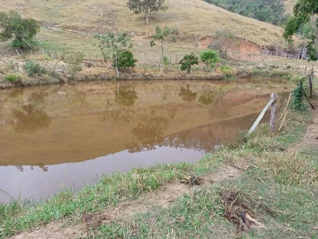 Sítio 20 Alqueires em Caçapava - Com casa e ótimo para gado - Foto 5