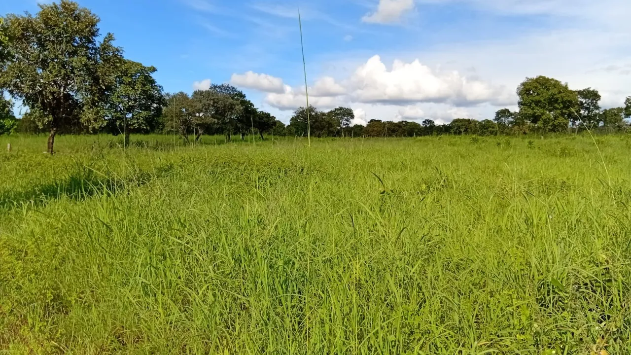 Chácara em Figueiropolis Tocantins