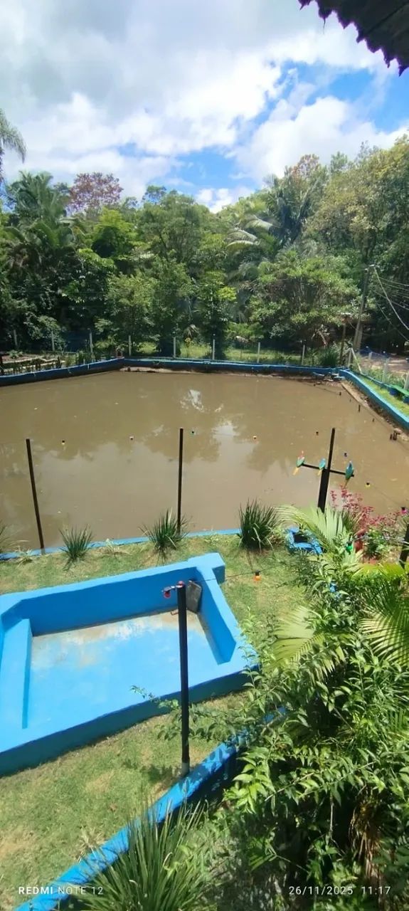 Chácara a Venda Canelinha  - Foto 2