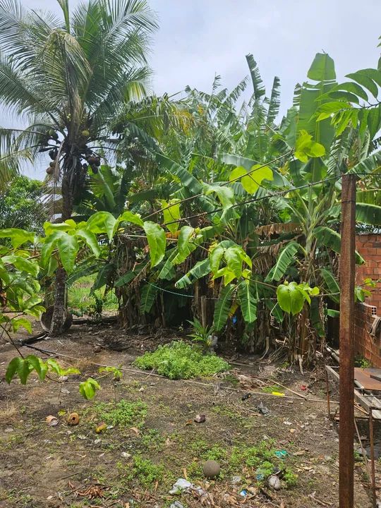 AREA com 5.700 m2,  com lagoa e natureza exuberante - Foto 3