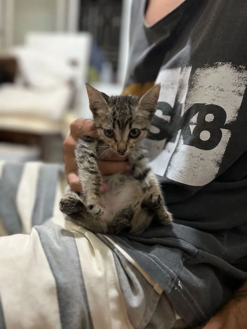 Procurasse um lá  - Foto 3