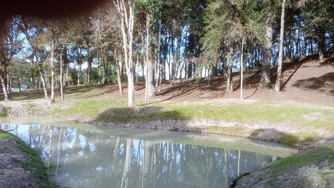 Foto - Curitiba - Capão da Imbuia